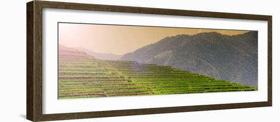 China 10MKm2 Collection - Rice Terraces - Longsheng Ping'an - Guangxi-Philippe Hugonnard-Framed Photographic Print