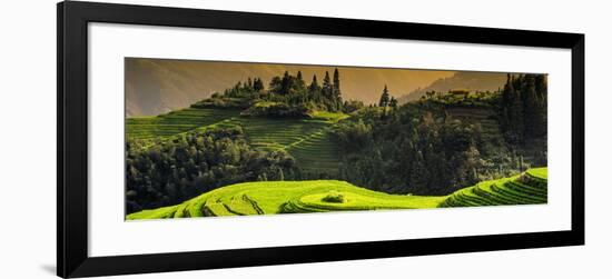 China 10MKm2 Collection - Rice Terraces - Longsheng Ping'an - Guangxi-Philippe Hugonnard-Framed Photographic Print