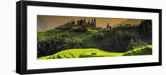 China 10MKm2 Collection - Rice Terraces - Longsheng Ping'an - Guangxi-Philippe Hugonnard-Framed Photographic Print