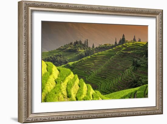 China 10MKm2 Collection - Rice Terraces - Longsheng Ping'an - Guangxi-Philippe Hugonnard-Framed Photographic Print