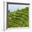 China 10MKm2 Collection - Rice Terraces - Longsheng Ping'an - Guangxi-Philippe Hugonnard-Framed Photographic Print