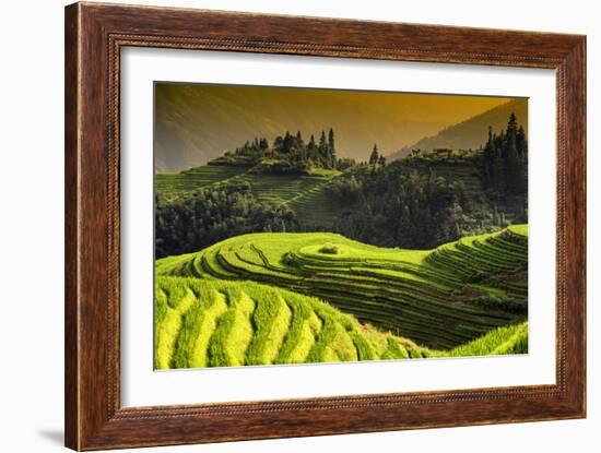 China 10MKm2 Collection - Rice Terraces - Longsheng Ping'an - Guangxi-Philippe Hugonnard-Framed Photographic Print