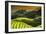 China 10MKm2 Collection - Rice Terraces - Longsheng Ping'an - Guangxi-Philippe Hugonnard-Framed Photographic Print