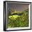 China 10MKm2 Collection - Rice Terraces - Longsheng Ping'an - Guangxi-Philippe Hugonnard-Framed Photographic Print