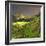 China 10MKm2 Collection - Rice Terraces - Longsheng Ping'an - Guangxi-Philippe Hugonnard-Framed Photographic Print