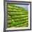 China 10MKm2 Collection - Rice Terraces - Longsheng Ping'an - Guangxi-Philippe Hugonnard-Framed Photographic Print