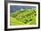 China 10MKm2 Collection - Rice Terraces - Longsheng Ping'an - Guangxi-Philippe Hugonnard-Framed Photographic Print