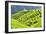 China 10MKm2 Collection - Rice Terraces - Longsheng Ping'an - Guangxi-Philippe Hugonnard-Framed Photographic Print