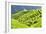 China 10MKm2 Collection - Rice Terraces - Longsheng Ping'an - Guangxi-Philippe Hugonnard-Framed Photographic Print