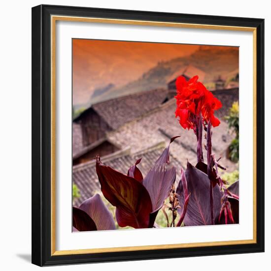 China 10MKm2 Collection - Rice Terraces - Longsheng Ping'an - Guangxi-Philippe Hugonnard-Framed Photographic Print