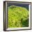 China 10MKm2 Collection - Rice Terraces - Longsheng Ping'an - Guangxi-Philippe Hugonnard-Framed Photographic Print