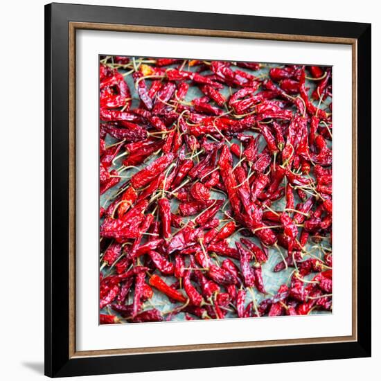 China 10MKm2 Collection - Rice Terraces - Longsheng Ping'an - Guangxi-Philippe Hugonnard-Framed Photographic Print