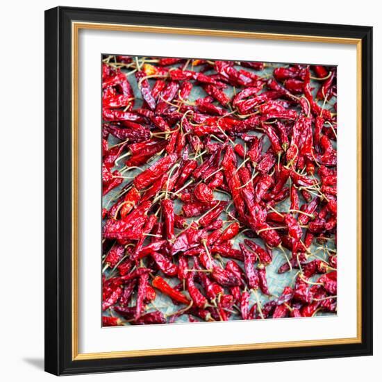 China 10MKm2 Collection - Rice Terraces - Longsheng Ping'an - Guangxi-Philippe Hugonnard-Framed Photographic Print