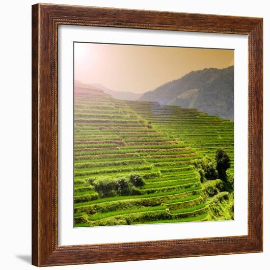 China 10MKm2 Collection - Rice Terraces - Longsheng Ping'an - Guangxi-Philippe Hugonnard-Framed Photographic Print