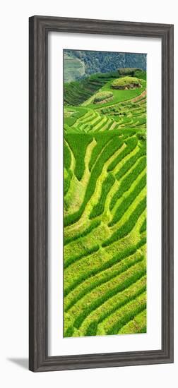 China 10MKm2 Collection - Rice Terraces - Longsheng Ping'an - Guangxi-Philippe Hugonnard-Framed Photographic Print