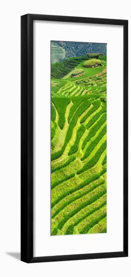 China 10MKm2 Collection - Rice Terraces - Longsheng Ping'an - Guangxi-Philippe Hugonnard-Framed Photographic Print