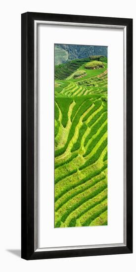 China 10MKm2 Collection - Rice Terraces - Longsheng Ping'an - Guangxi-Philippe Hugonnard-Framed Photographic Print