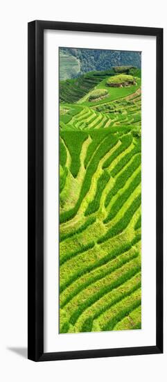 China 10MKm2 Collection - Rice Terraces - Longsheng Ping'an - Guangxi-Philippe Hugonnard-Framed Photographic Print