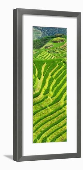 China 10MKm2 Collection - Rice Terraces - Longsheng Ping'an - Guangxi-Philippe Hugonnard-Framed Photographic Print