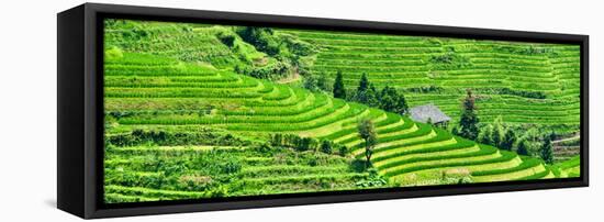 China 10MKm2 Collection - Rice Terraces - Longsheng Ping'an - Guangxi-Philippe Hugonnard-Framed Premier Image Canvas