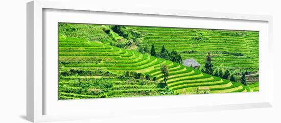 China 10MKm2 Collection - Rice Terraces - Longsheng Ping'an - Guangxi-Philippe Hugonnard-Framed Photographic Print