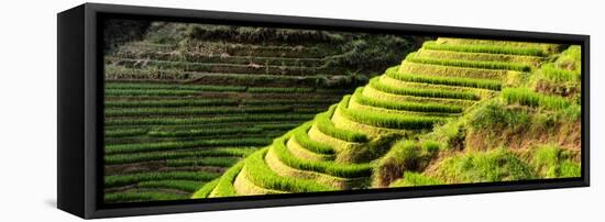 China 10MKm2 Collection - Rice Terraces - Longsheng Ping'an - Guangxi-Philippe Hugonnard-Framed Premier Image Canvas