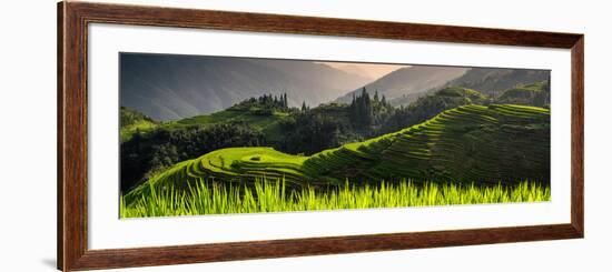 China 10MKm2 Collection - Rice Terraces - Longsheng Ping'an - Guangxi-Philippe Hugonnard-Framed Photographic Print