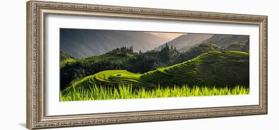 China 10MKm2 Collection - Rice Terraces - Longsheng Ping'an - Guangxi-Philippe Hugonnard-Framed Photographic Print