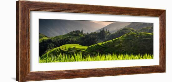 China 10MKm2 Collection - Rice Terraces - Longsheng Ping'an - Guangxi-Philippe Hugonnard-Framed Photographic Print