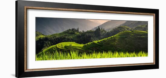 China 10MKm2 Collection - Rice Terraces - Longsheng Ping'an - Guangxi-Philippe Hugonnard-Framed Photographic Print