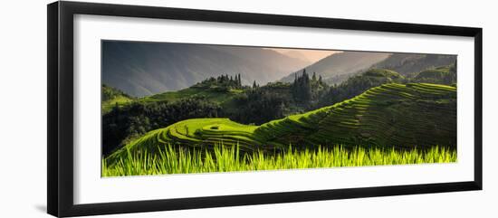 China 10MKm2 Collection - Rice Terraces - Longsheng Ping'an - Guangxi-Philippe Hugonnard-Framed Photographic Print