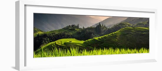 China 10MKm2 Collection - Rice Terraces - Longsheng Ping'an - Guangxi-Philippe Hugonnard-Framed Photographic Print