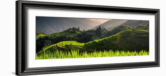 China 10MKm2 Collection - Rice Terraces - Longsheng Ping'an - Guangxi-Philippe Hugonnard-Framed Photographic Print