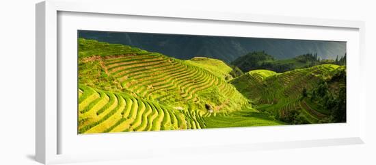 China 10MKm2 Collection - Rice Terraces - Longsheng Ping'an - Guangxi-Philippe Hugonnard-Framed Photographic Print