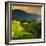 China 10MKm2 Collection - Rice Terraces - Longsheng Ping'an - Guangxi-Philippe Hugonnard-Framed Photographic Print