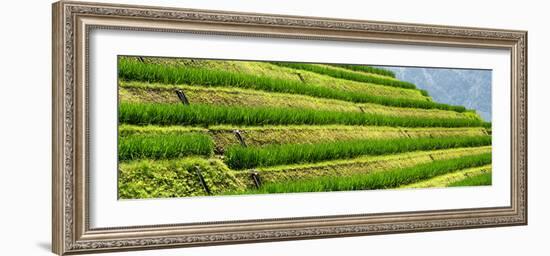 China 10MKm2 Collection - Rice Terraces - Longsheng Ping'an - Guangxi-Philippe Hugonnard-Framed Photographic Print