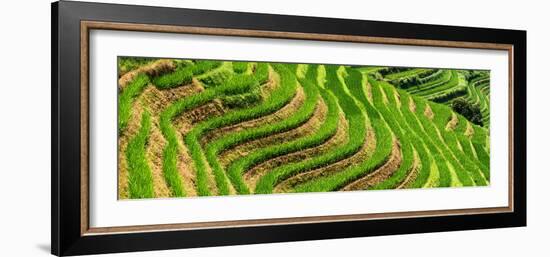 China 10MKm2 Collection - Rice Terraces - Longsheng Ping'an - Guangxi-Philippe Hugonnard-Framed Photographic Print