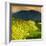 China 10MKm2 Collection - Rice Terraces - Longsheng Ping'an - Guangxi-Philippe Hugonnard-Framed Photographic Print