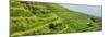 China 10MKm2 Collection - Rice Terraces - Longsheng Ping'an - Guangxi-Philippe Hugonnard-Mounted Premium Photographic Print