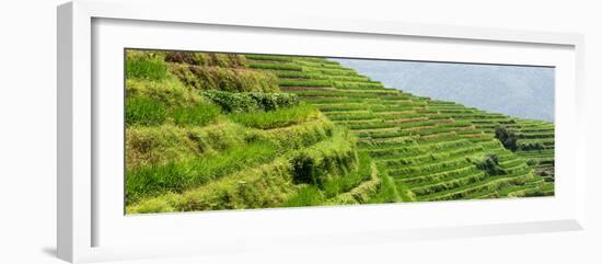 China 10MKm2 Collection - Rice Terraces - Longsheng Ping'an - Guangxi-Philippe Hugonnard-Framed Photographic Print