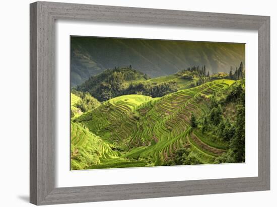 China 10MKm2 Collection - Rice Terraces - Longsheng Ping'an - Guangxi-Philippe Hugonnard-Framed Photographic Print