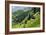 China 10MKm2 Collection - Rice Terraces - Longsheng Ping'an - Guangxi-Philippe Hugonnard-Framed Photographic Print