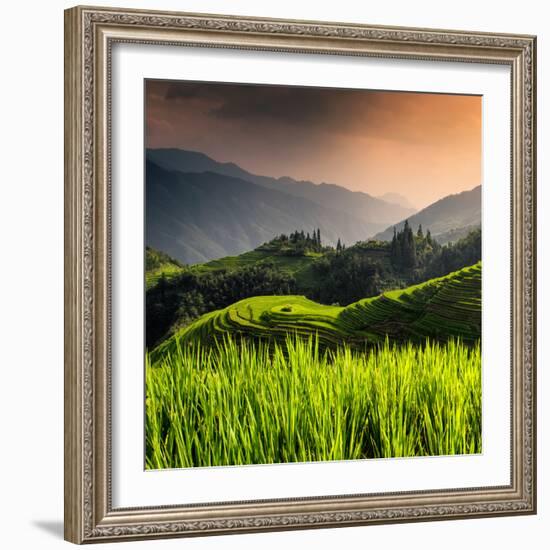 China 10MKm2 Collection - Rice Terraces - Longsheng Ping'an - Guangxi-Philippe Hugonnard-Framed Photographic Print