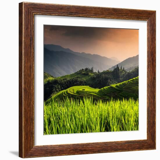 China 10MKm2 Collection - Rice Terraces - Longsheng Ping'an - Guangxi-Philippe Hugonnard-Framed Photographic Print