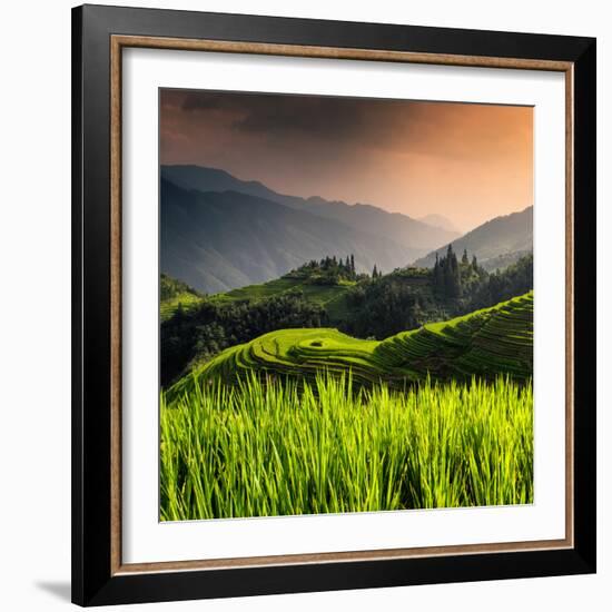 China 10MKm2 Collection - Rice Terraces - Longsheng Ping'an - Guangxi-Philippe Hugonnard-Framed Photographic Print