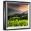 China 10MKm2 Collection - Rice Terraces - Longsheng Ping'an - Guangxi-Philippe Hugonnard-Framed Photographic Print