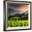 China 10MKm2 Collection - Rice Terraces - Longsheng Ping'an - Guangxi-Philippe Hugonnard-Framed Photographic Print