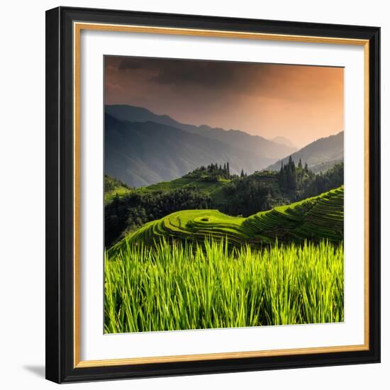 China 10MKm2 Collection - Rice Terraces - Longsheng Ping'an - Guangxi-Philippe Hugonnard-Framed Photographic Print