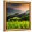 China 10MKm2 Collection - Rice Terraces - Longsheng Ping'an - Guangxi-Philippe Hugonnard-Framed Premier Image Canvas