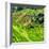 China 10MKm2 Collection - Rice Terraces - Longsheng Ping'an - Guangxi-Philippe Hugonnard-Framed Photographic Print